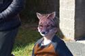 DSC_0005(5)-5
