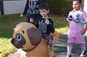 DSC_0016(9)-12